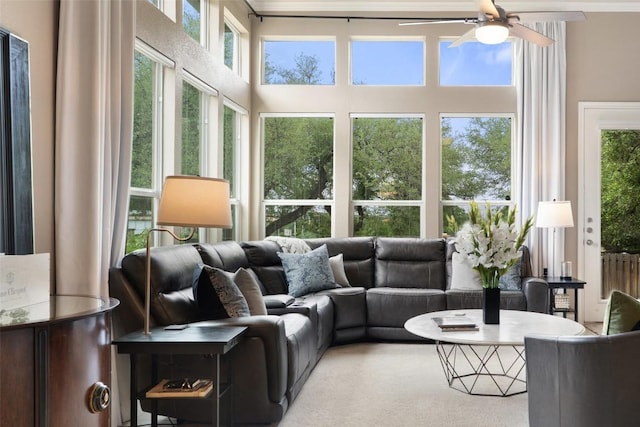 109 Perpetuation Dr, Austin, TX 78734 - carpeted living room with a ceiling fan