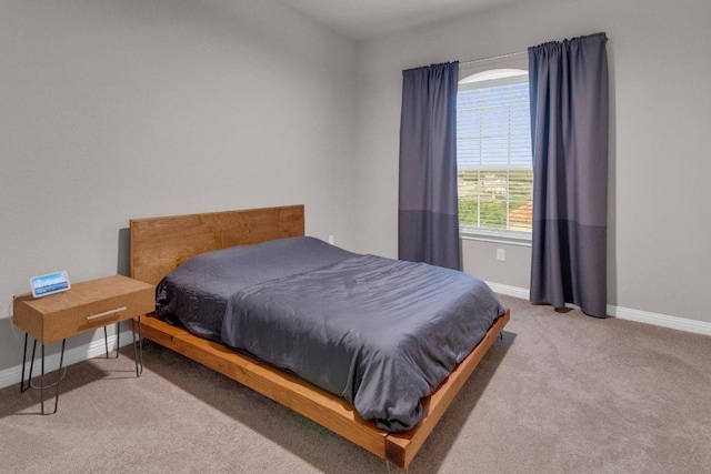 2601 Montebelluna Pl, Leander, TX 78641 - bedroom with carpet and baseboards