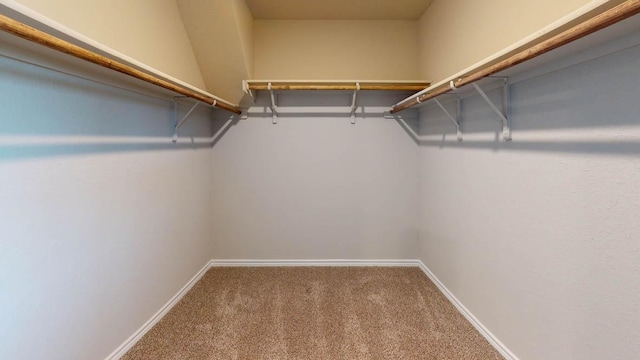 walk in closet featuring carpet flooring