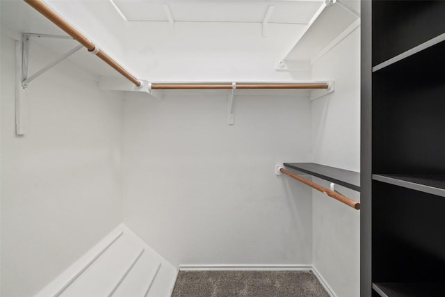 2918 N 620th Rd Unit O282, Austin, TX 78734 - walk in closet featuring carpet floors