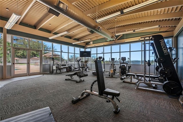 2918 N 620th Rd Unit O282, Austin, TX 78734 - gym featuring carpet