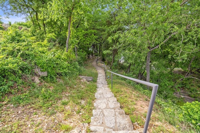 2918 N 620th Rd Unit O282, Austin, TX 78734 - view of yard