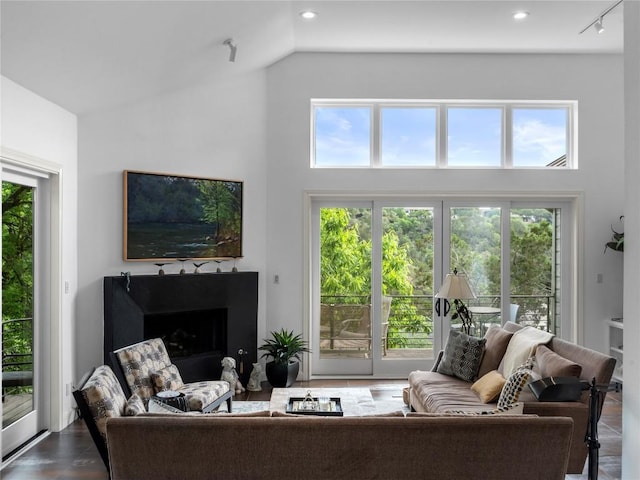 7115 Las Ventanas Dr, Austin, TX 78731 - living room featuring healthy amount of natural light, a fireplace, high vaulted ceiling, and recessed lighting