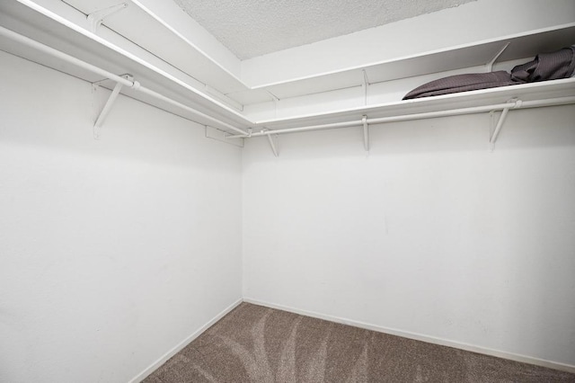 11813 Buggy Whip Trl, Austin, TX 78750 - photo 24