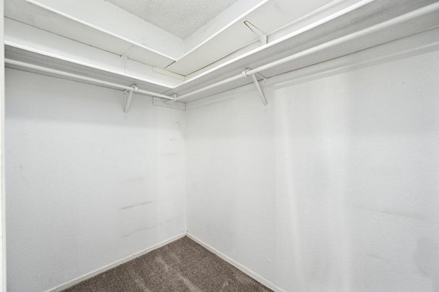 11813 Buggy Whip Trl, Austin, TX 78750 - photo 25