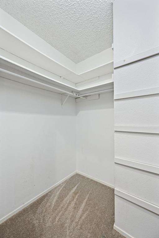 11813 Buggy Whip Trl, Austin, TX 78750 - photo 29