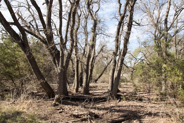 21200 Firefly Rd, Florence, TX 76527