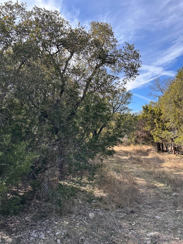 21200 Firefly Rd, Florence, TX 76527