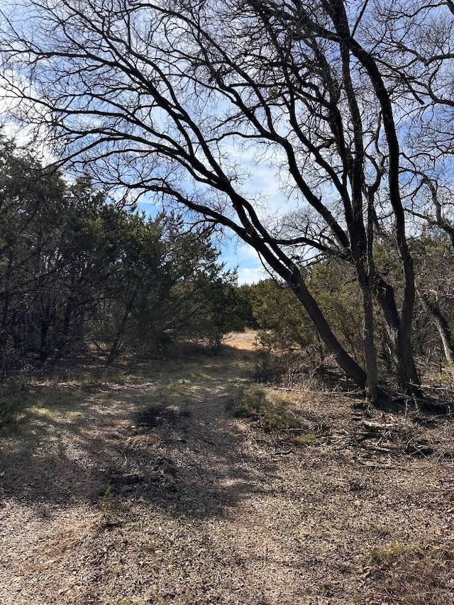 21200 Firefly Rd, Florence, TX 76527