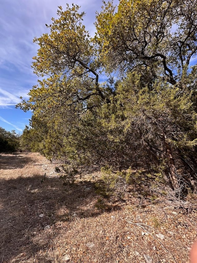 21200 Firefly Rd, Florence, TX 76527