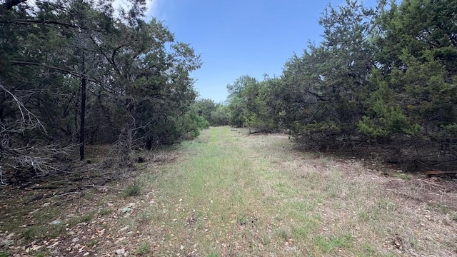 21200 Firefly Rd, Florence, TX 76527