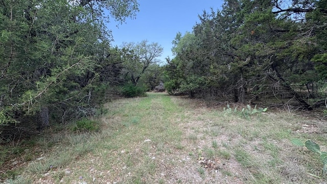 21200 Firefly Rd, Florence, TX 76527