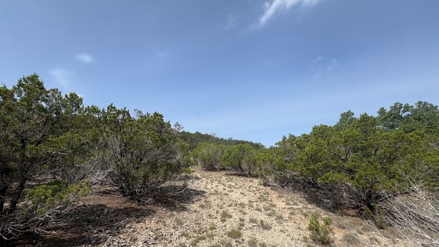 21200 Firefly Rd, Florence, TX 76527