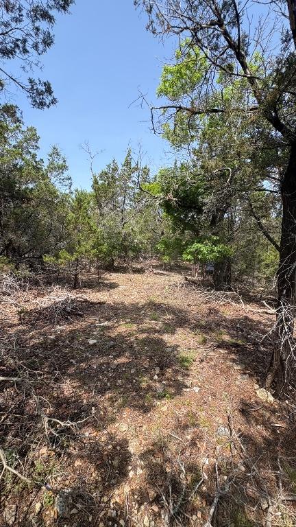 21200 Firefly Rd, Florence, TX 76527