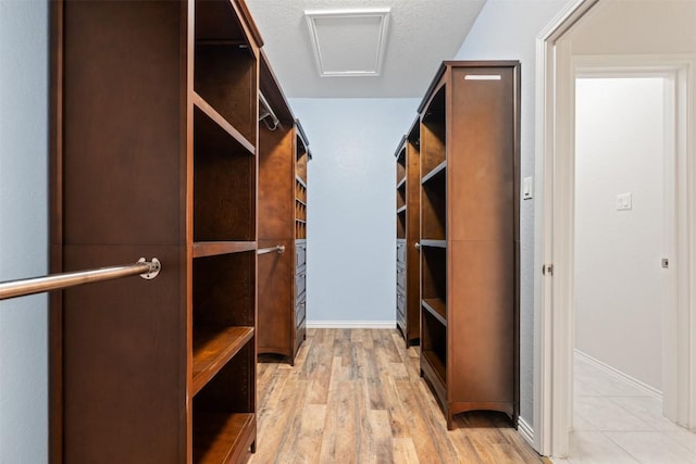 713 Hummingbird Ln, Leander, TX 78641 - walk in closet with attic access and light wood-type flooring