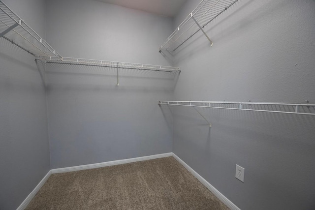 2320 Gracy Farms Ln Unit 112, Austin, TX 78758 - photo 5