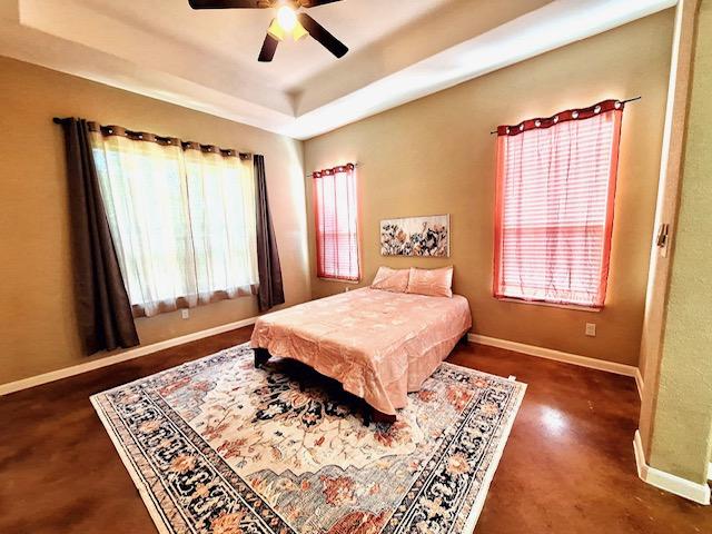 192 W Kaanapali Ln, Bastrop, TX 78602 - bedroom with baseboards, multiple windows, a tray ceiling, and ceiling fan