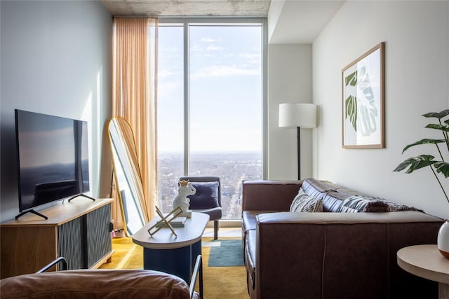 living area featuring a wall of windows