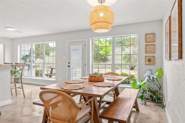12099 Bonham Ranch Rd, Dripping Springs, TX 78620 - view of sunroom / solarium