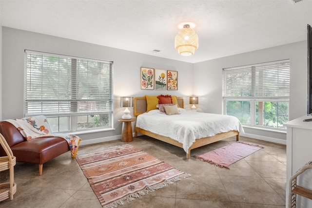 12099 Bonham Ranch Rd, Dripping Springs, TX 78620 - bedroom featuring multiple windows and baseboards