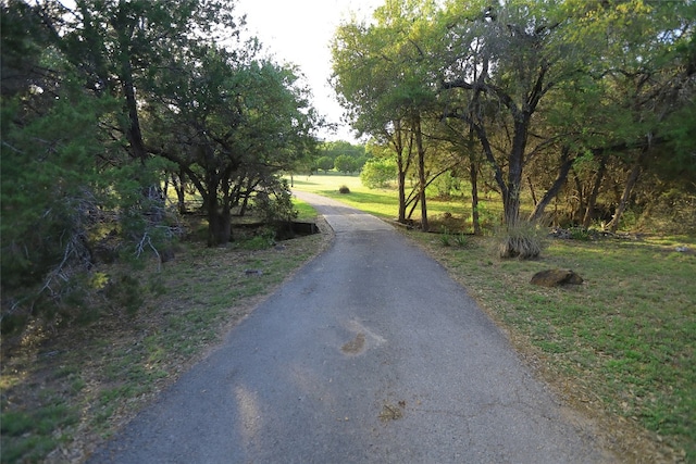 12099 Bonham Ranch Rd, Dripping Springs, TX 78620 - view of street
