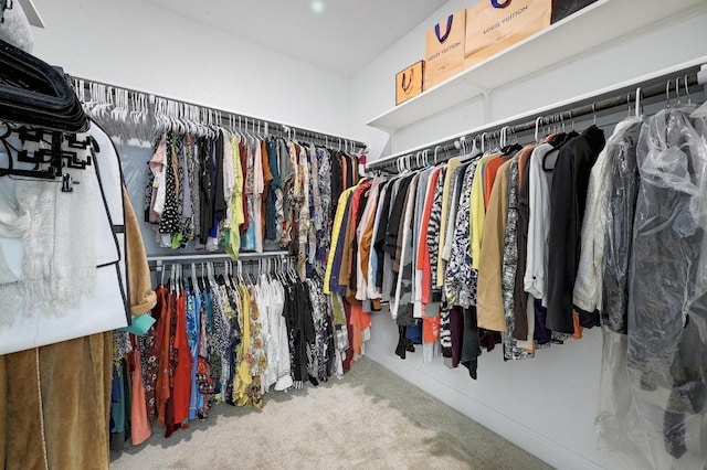 spacious closet with carpet flooring