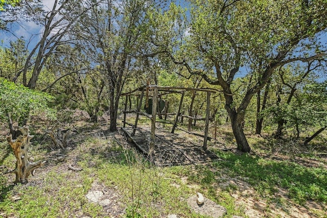 12201 Painted Bunting Dr, Austin, TX 78726 - photo 25