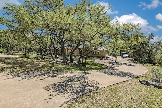 12201 Painted Bunting Dr, Austin, TX 78726 - photo 2