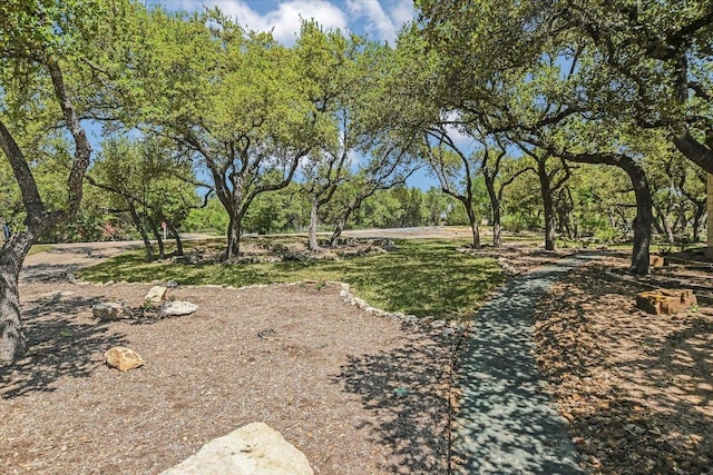 12201 Painted Bunting Dr, Austin, TX 78726 - photo 4