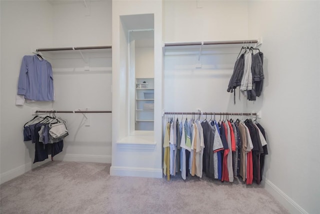 3049 Sage Ranch Dr, Leander, TX 78641 - spacious closet with carpet floors