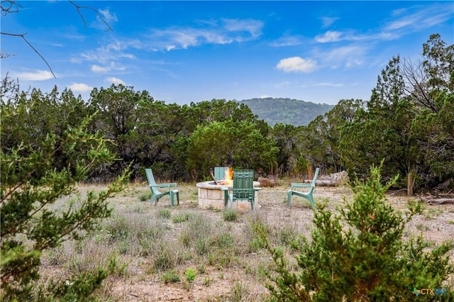 18725 Angel Mountain Dr, Leander, TX 78641 - photo 40