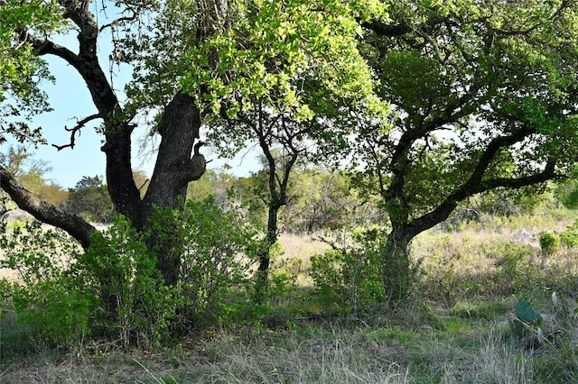 LOT11 Crown Ln, Burnet, TX 78611 - photo 10