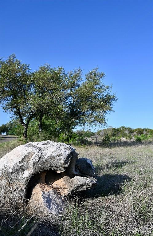 LOT11 Crown Ln, Burnet, TX 78611 - photo 12