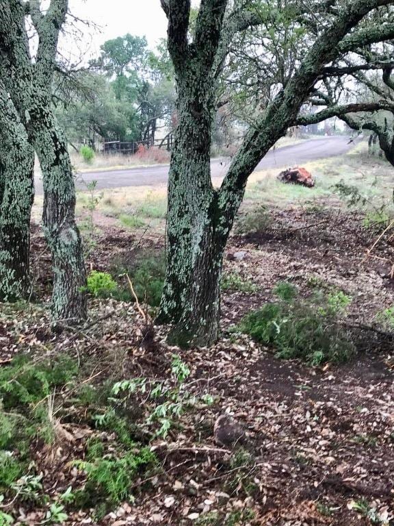 LOT11 Crown Ln, Burnet, TX 78611 - photo 15