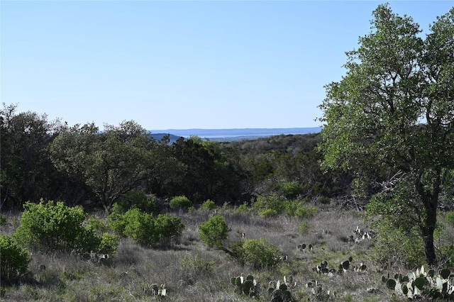 LOT11 Crown Ln, Burnet, TX 78611 - photo 14