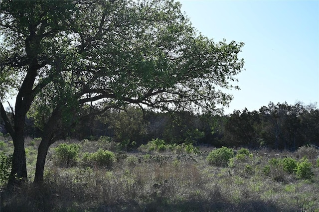 LOT11 Crown Ln, Burnet, TX 78611 - photo 1