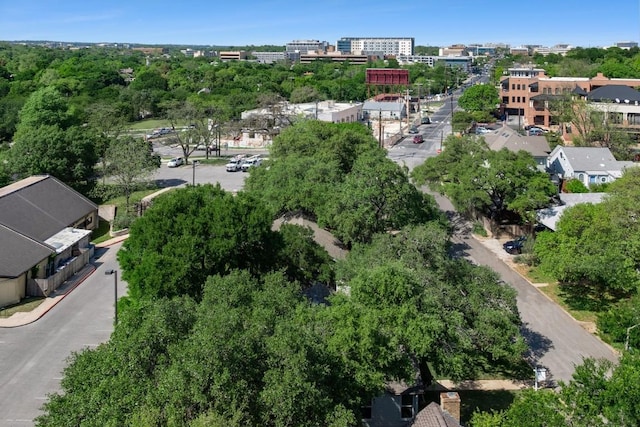 2844 Shoal Crest Ave, Austin, TX 78705 - drone / aerial view