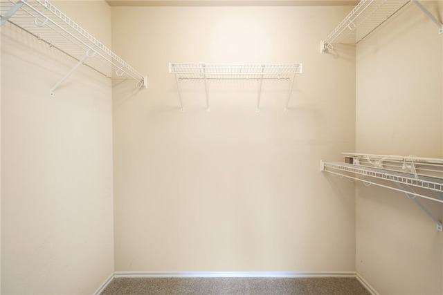 10916 Furrow Hill Dr, Austin, TX 78754 - spacious closet featuring carpet floors