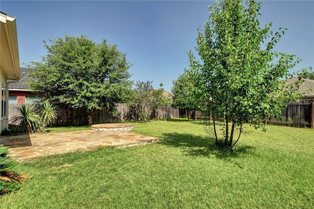 10916 Furrow Hill Dr, Austin, TX 78754 - fenced backyard with a patio area