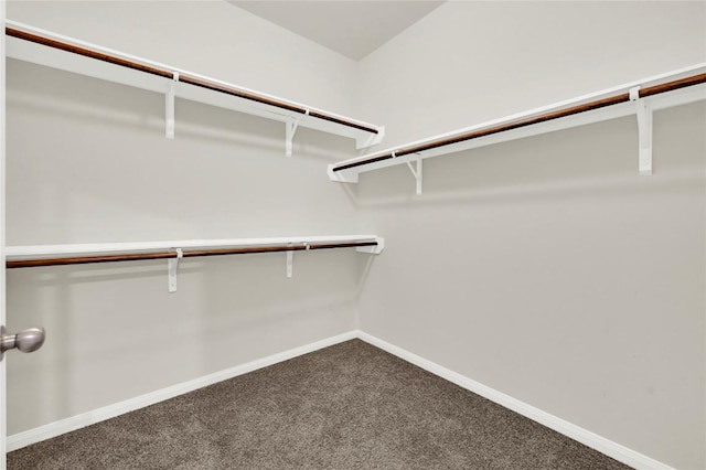walk in closet with dark carpet