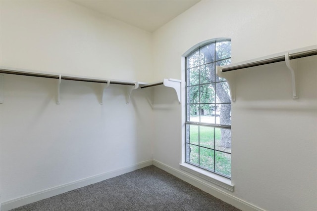 308 Angus Dr, Cedar Park, TX 78613 - spacious closet featuring carpet
