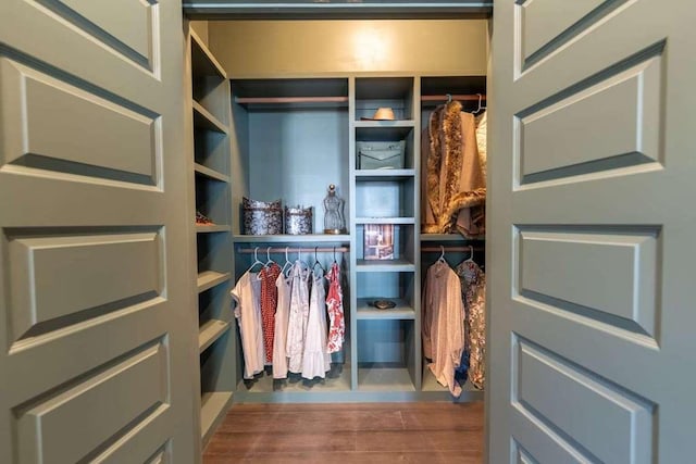 view of closet