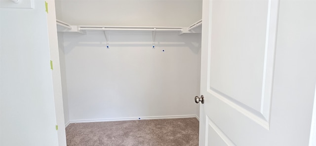 spacious closet with carpet floors