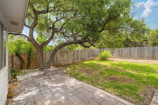 1317 Rimstone Dr, Cedar Park, TX 78613 - fenced backyard with a patio area
