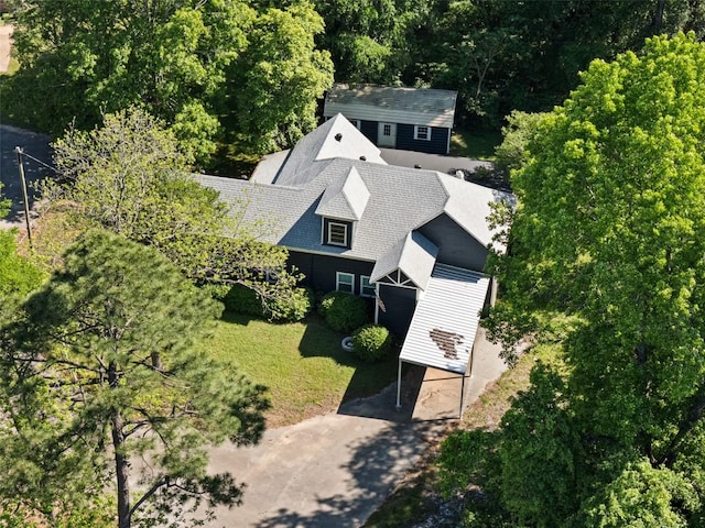 bird's eye view