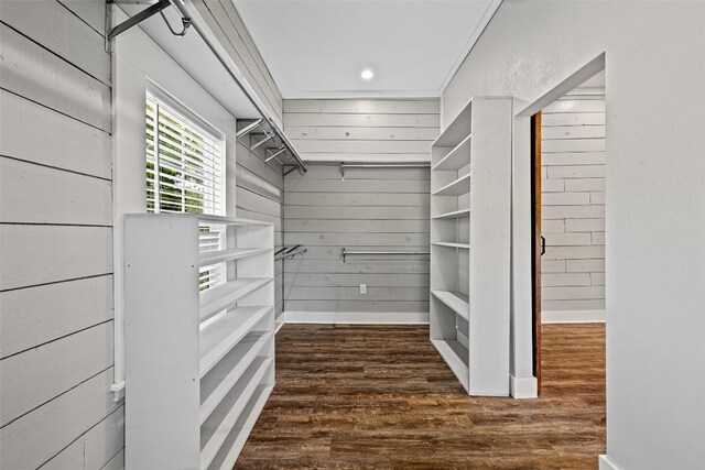 walk in closet featuring wood finished floors