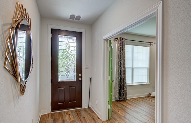 1117 Arbor Acres Loop, Leander, TX 78641 - foyer entrance with light wood-type flooring, plenty of natural light, and baseboards
