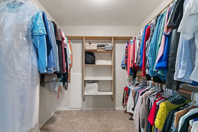 129 Valley Spur, Smithville, TX 78957 - walk in closet featuring carpet flooring