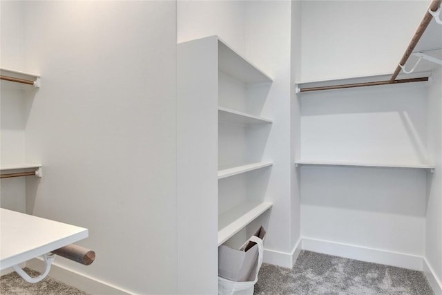 spacious closet featuring carpet floors