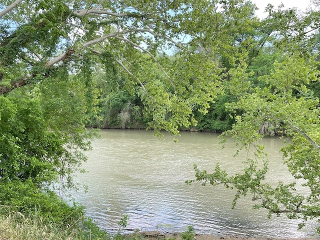 353 Nene Ln, Bastrop, TX 78602 - water view